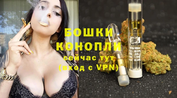 индика Ижевск