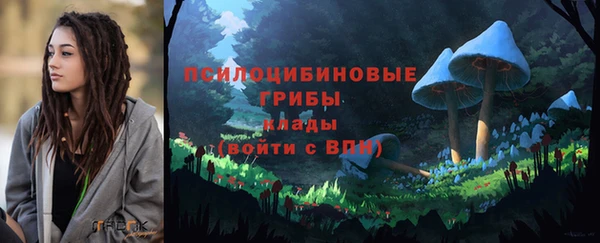 тгк Иннополис